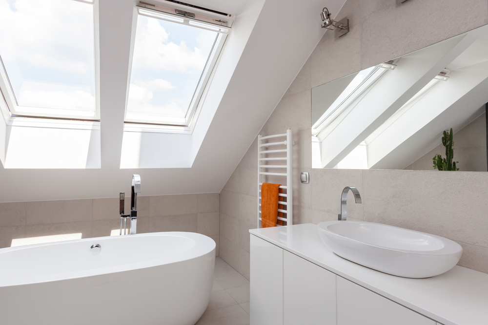 Bathroom skylight window